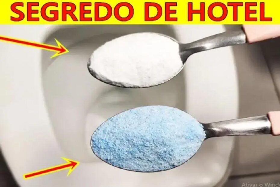 limpeza de vaso sanitário