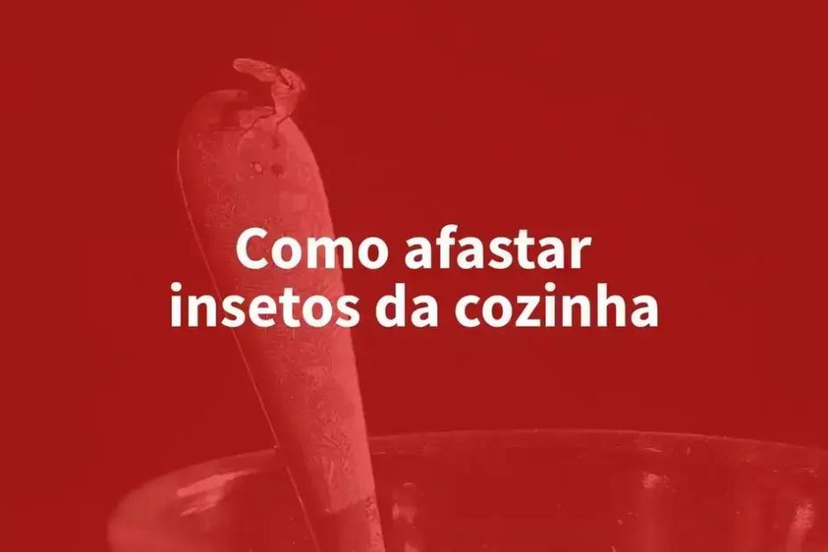 Evitar insetos na cozinha